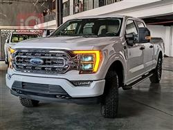 فۆرد F-150